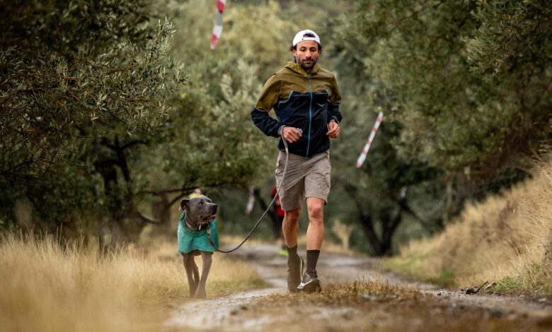 Can Dost ta İdaultra da Şampiyon 1 IMG 20241201 WA0023 |