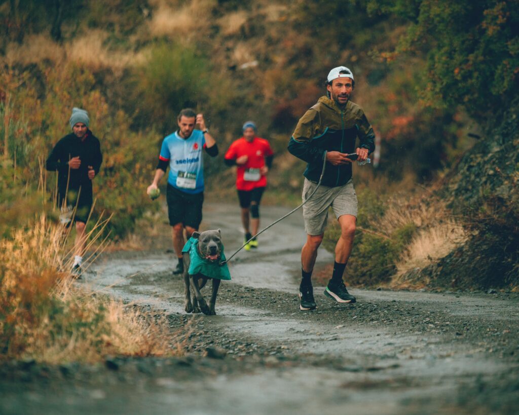 Can Dost ta İdaultra da Şampiyon 2 IMG 20241201 WA0032 1 |