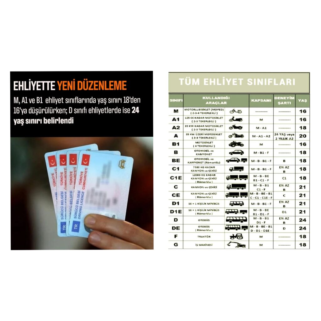 InCollage 20241210 121747641 |