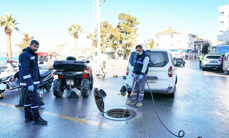 Ayvalık’ta kışlık ilaçlama çalışmaları yapıldı 1 ayvalikta kislik ilaclama calismalari yapildi 7733ec2 |
