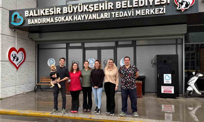 Bandırma Sokak Hayvanları Tedavi Merkezi 13 bin 459 hayvana şifa dağıttı 1 bandirma sokak hayvanlari tedavi merkezi 13 bin 459 hayvana sifa dagitti 1af0cb3 |