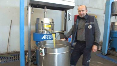 burhaniyede yag rekoltesinde dusus f4db68f |
