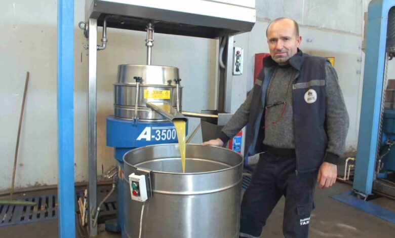 burhaniyede yag rekoltesinde dusus f4db68f |