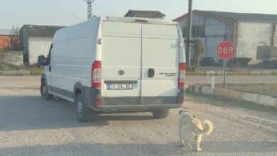 kamyonetin arkasina baglanarak suruklenen kopek kurtarildi sahislara cezai islem uygulandi 433a601 |