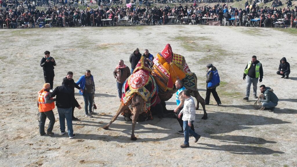Burhaniye’de Hasat Festivali için geri sayım başladı 2 3 2 |