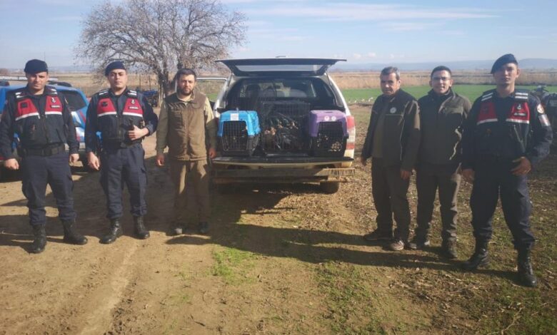 Çanakkale’de kaçak av operasyonuna 70 bin TL ceza 1 AW379648 01 |