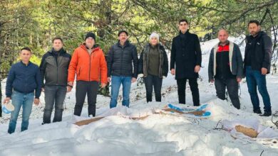 balikesirde yaban hayvanlari unutulmadi 0380ca3 |