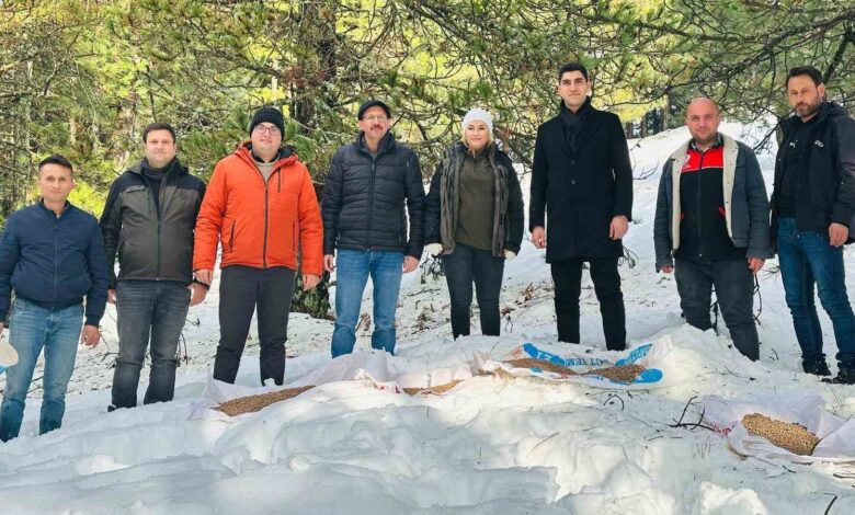 Havran’da yaban hayvanları unutulmadı 1 balikesirde yaban hayvanlari unutulmadi 0380ca3 |