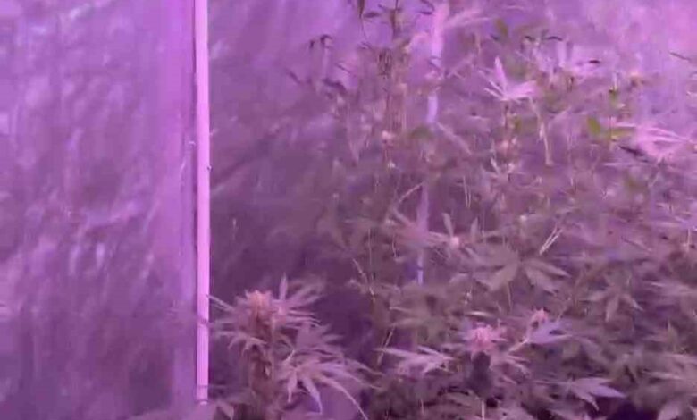 bandirmada uyusturucu imalathanesine baskin 1 gozalti bb58efc |