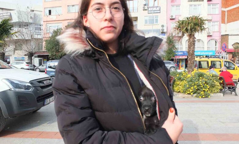 burhaniyeli genc kizin hayvan sevgisi takdir topladi 1a19e9e |