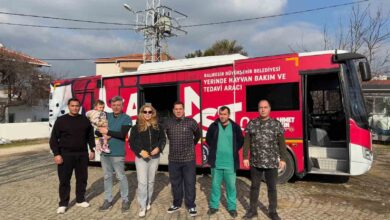 can dost sifa dagitmaya devam ediyor pasa limani adasinda 182 sokak hayvani hayata tutundu 972dce6 |