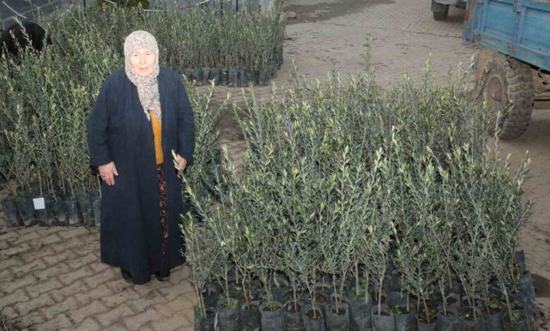 eceabatta orman yanginlarindan etkilenen ureticilere 5 bin zeytin fidani dagitildi 35b9c6c |