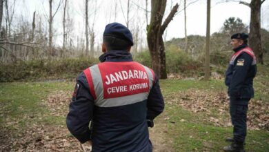 firar eden ayi havadan ve karadan araniyor baf6850 |