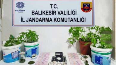 jandarmadan 6 ilcede uyusturucu operasyonu ea65a4e |