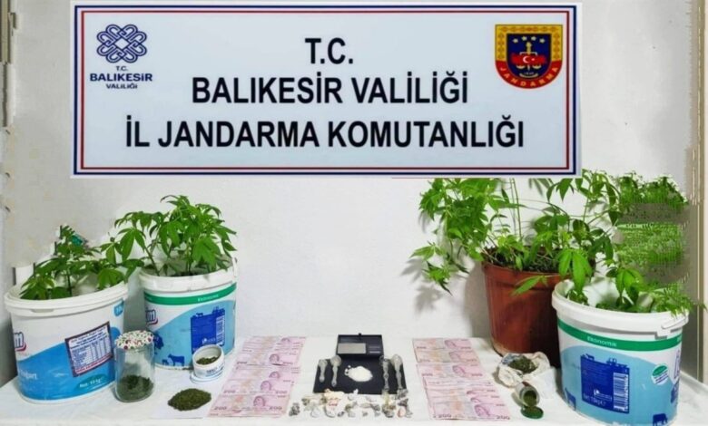 jandarmadan 6 ilcede uyusturucu operasyonu ea65a4e |