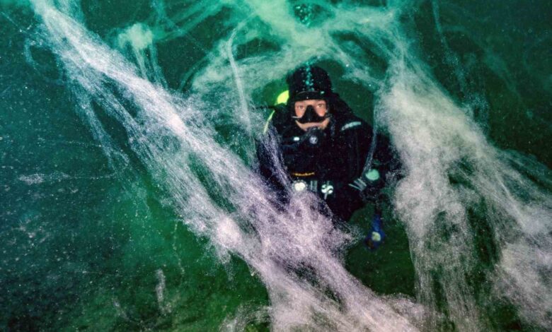 Marmara Denizi’ndeki müsilaj tehdidine karşı işbirliği çağrısı 1 marmara denizindeki musilaj tehdidine karsi isbirligi cagrisi 1270668 |