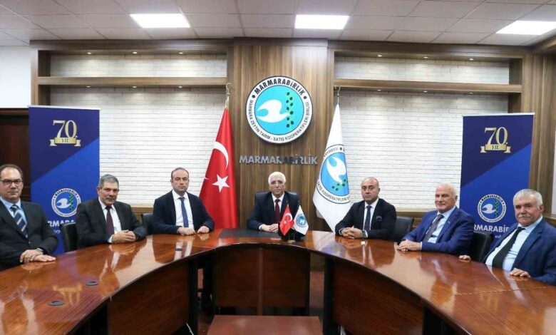 marmarabirlik nihai fiyatlari acikladi c6e4c80 |