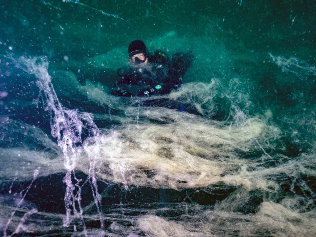 musilaj 7 haftada butun marmara denizine yayildi ege denizine gecti 82bbac1 |