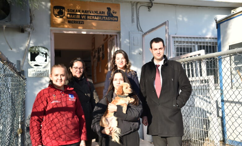 Çanakkale Belediyesi sokak hayvanları için çalışmaya devam ediyor 1 s19BRSn4HUu65vGabWTtcixA8jzqy3Z0 |