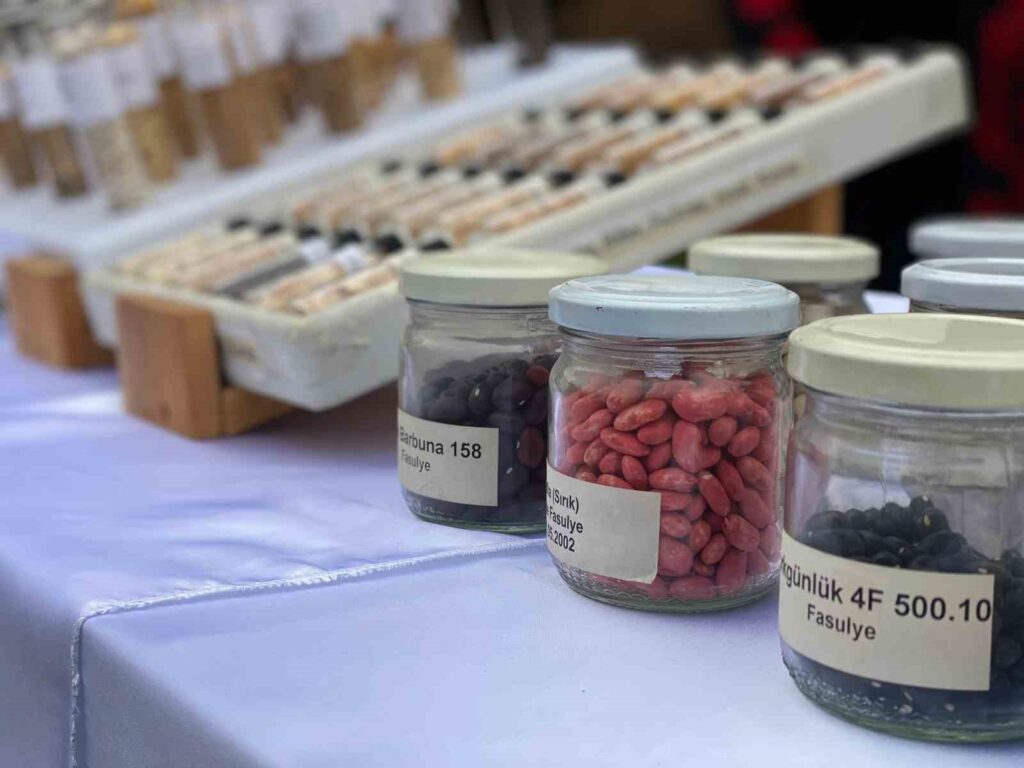 subat ayindan itibaren tarim kredi kooperatiflerinde ata tohumu donemi basliyor c76acbf |