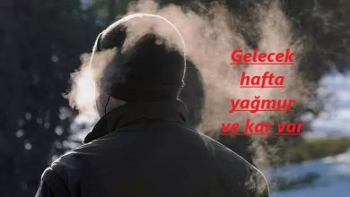 67a84ad8160132adcff82f74 |