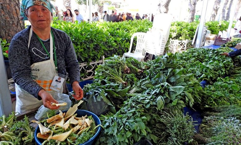 alacati ot festivali stant basvurulari basladi 49ac3afbe0a7 |