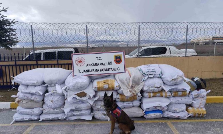 ankarada bir tirda 4 ton 700 kilo kacak tutun ele gecirildi cbe5c9fe5865 |