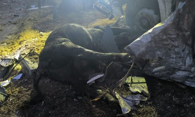 ankarada buyukbas hayvan yuklu tir devrildi 1 olu 1 yarali 02498a46edb0 |