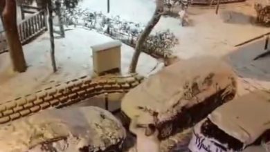 bayrampasada polis ile vatandasin kartopu eglencesi kamerada a2e21056036d |
