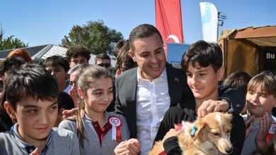 can dostla sokak hayvanlarina ucretsiz tedavi destegi fd24373c501b |
