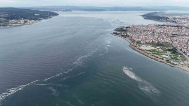 canakkale bogazinin kabusu musilaj 5 yil sonra geri dondu f687e5b |