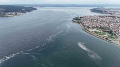 canakkalede musilaj sebebiyle bir aydir denize ag atamiyorlar e895624da80b |