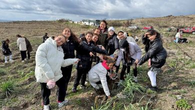 cesmede yangin bolgesine hatira ormani kuruluyor f8f319234238 |
