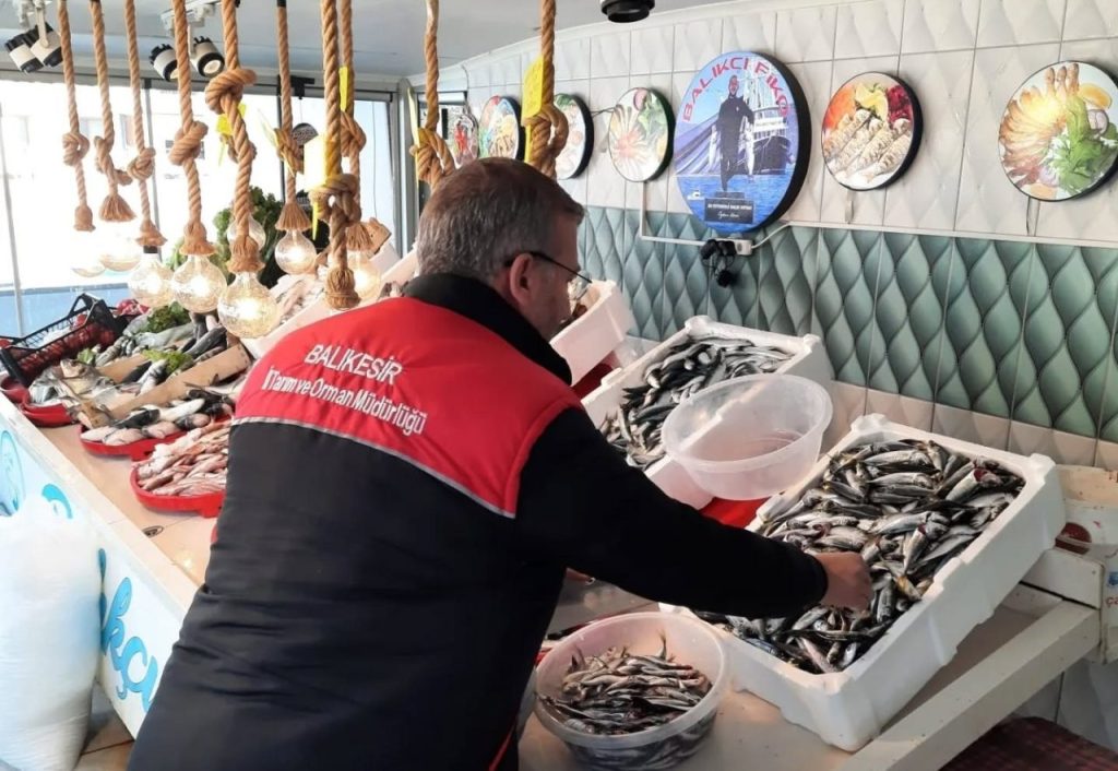 edremitte balik denetimi 07e978cb22a8 |