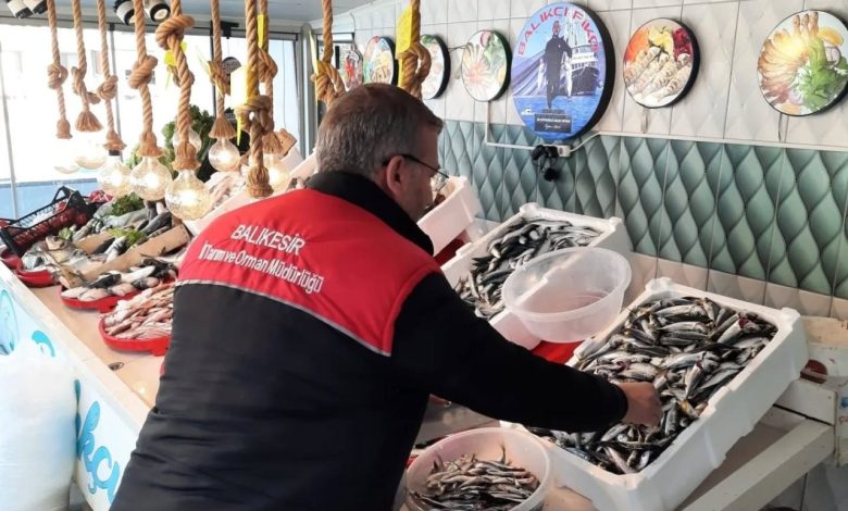 edremitte balik denetimi 07e978cb22a8 |