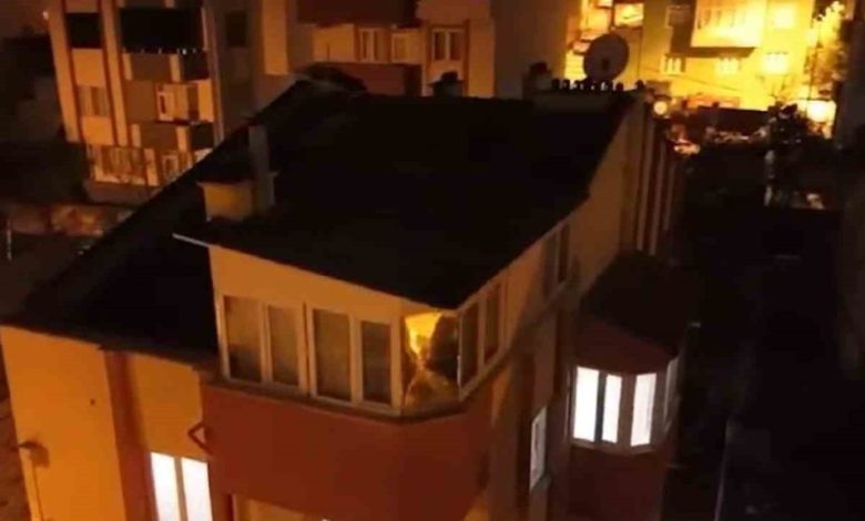 feto firarileri saklandiklari teras katinda yakalandi 62ef4510919e |