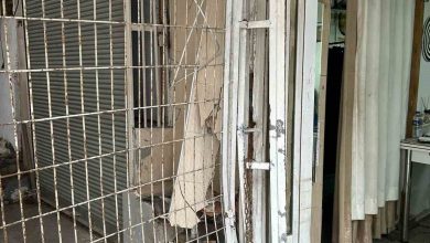 gaz ile freni karistirinca cop kamyoneti is yerinin duvarina carpti fb82e4f7bc6b |
