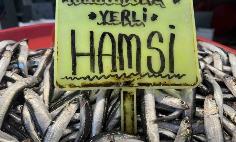 kar yagisinin ardindan tezgahlarda son durum hamsi 400 tl sardalya 200 tl ff6228a649d0 |
