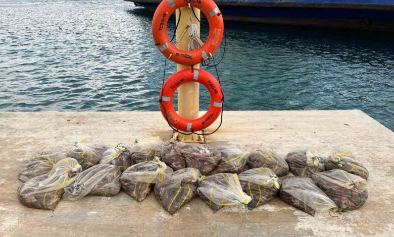 sahil guvenlik bozcaada aciklarinda 19 cuval deniz patlicani ele gecirdi 9c8fc38495fa |