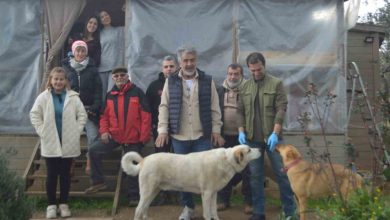 sokak hayvanlari icin ornek imece 0048a736a749 |