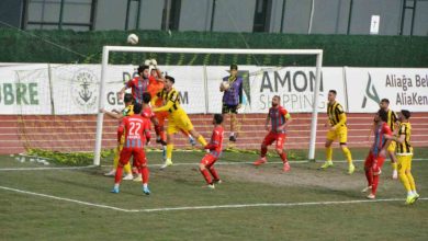 tff 3 lig aliagaspor fk 3 viransehir belediyespor 0 89093ae12215 |