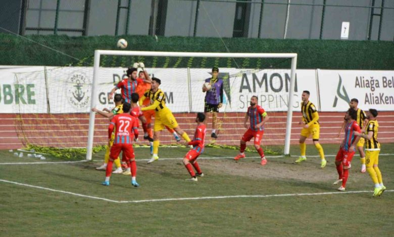 tff 3 lig aliagaspor fk 3 viransehir belediyespor 0 89093ae12215 |