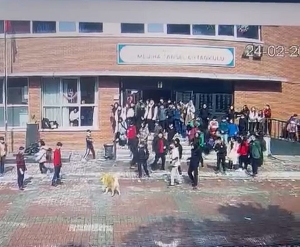 umraniyede okul bahcesinde kopek dehseti 5 ogrenciyi isirdi 760484d4af03 |