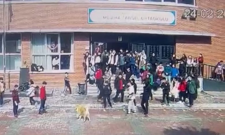 Ümraniye’de okul bahçesinde köpek dehşeti: 5 öğrenciyi ısırdı 1 umraniyede okul bahcesinde kopek dehseti 5 ogrenciyi isirdi 760484d4af03 |