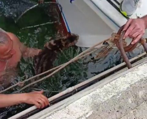 AW418967 02 e1742809789283 |