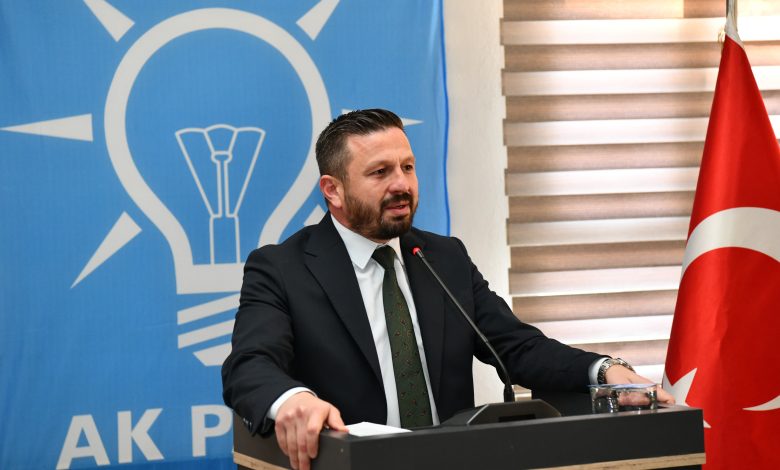 WhatsApp Image 2025 03 14 at 12.53.39 |