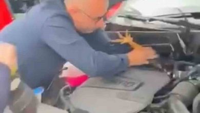 arac motoruna bu kez kedi degil horoz girdi eff7d57cccf6 |