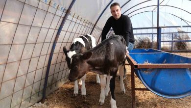 arif uyguner ureticimizin emegini korumak icin geliyoruz 4337ee9d80c6 |