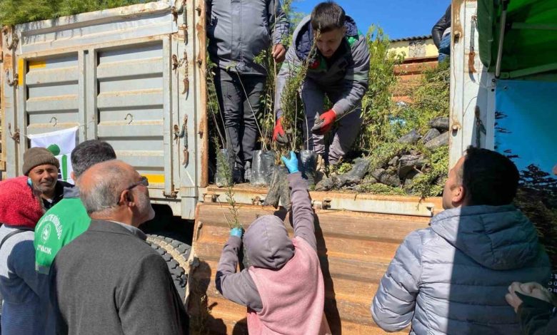 ayvacikta 3 bin fidan dagitildi d290308131d1 |