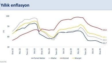 bakan simsek dokuz aydir gerileyen yillik enflasyon subatta yuzde 391 gerceklesti d44c3329633f |